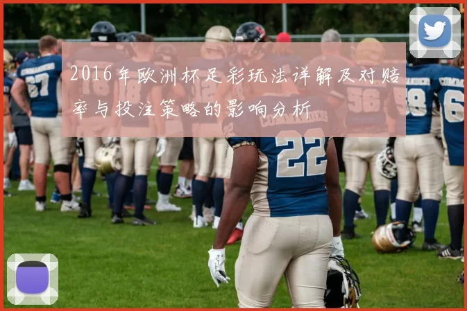 2016年欧洲杯足彩玩法详解及对赔率与投注策略的影响分析
