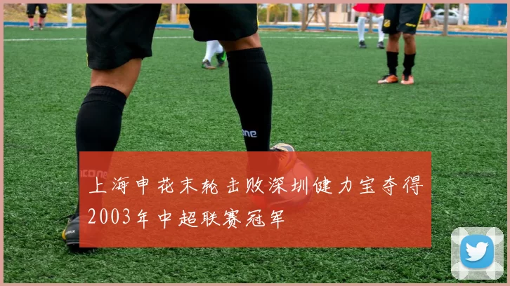 上海申花末轮击败深圳健力宝夺得2003年中超联赛冠军
