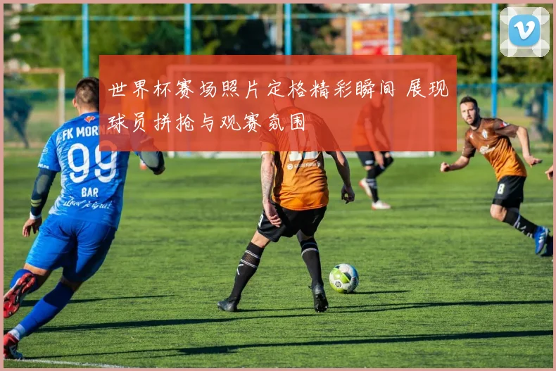世界杯赛场照片定格精彩瞬间 展现球员拼抢与观赛氛围
